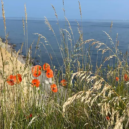 Strandzeit-timmendorf Daire Timmendorfer Strand