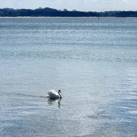 Daire Strandzeit-timmendorf Timmendorfer Strand