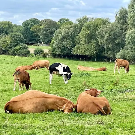 Strandzeit-timmendorf